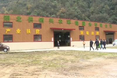 中国供销集团来我县考察