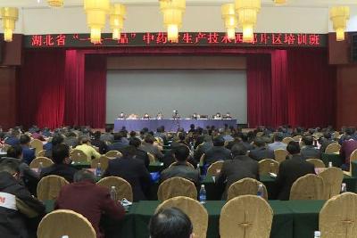 专家骨干齐聚五峰 共谋中药材产业健康发展