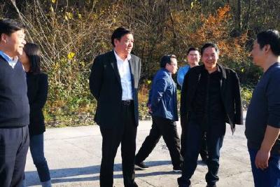 万红到东部乡镇调研指导乡村振兴和脱贫攻坚工作