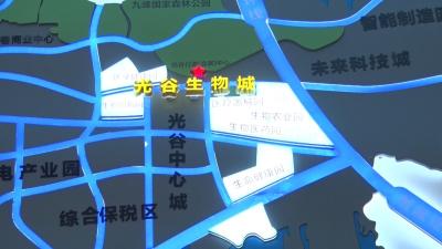 学习先进经验 对接外部市场 推动生物医药产业向高质量发展 县政协组织开展赴武汉学习考察活动