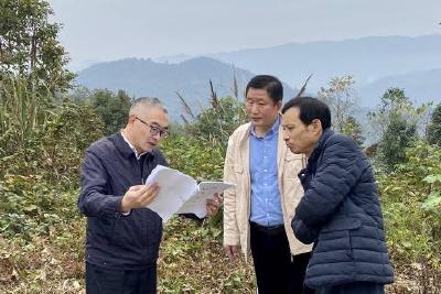 市自然资源和规划局调研我县农村乱占耕地建房问题摸排情况