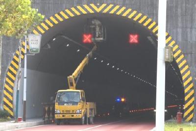 马蜂筑巢隧道口 城管消防联合除隐患