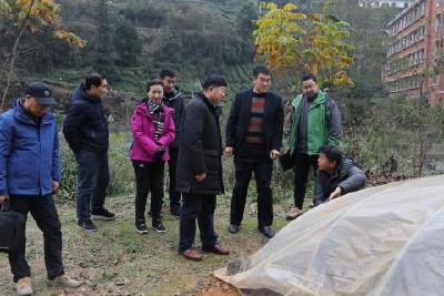 市政协副主席陈和春到苦竹坪村调研精准扶贫工作