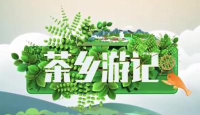 《茶乡游记》第二期