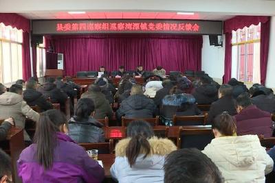县委第四巡察组向湾潭镇党委反馈巡察情况