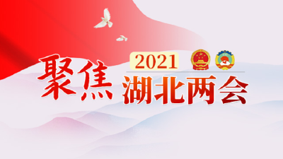 聚焦2021湖北两会