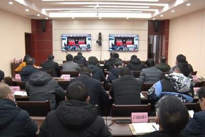 全市召开“擦亮小城镇”建设美丽城镇工作推进视频会