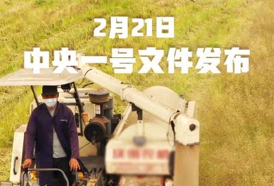 2021年中央一号文件发布！