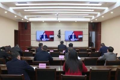 提高站位 校准坐标 狠抓落地 优化服务  全市召开一季度经济形势分析视频会