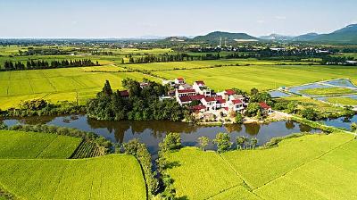 习近平对深化东西部协作和定点帮扶工作作出重要指示强调 适应形势任务变化 弘扬脱贫攻坚精神 加快推进农业农村现代化 全面推进乡村振兴