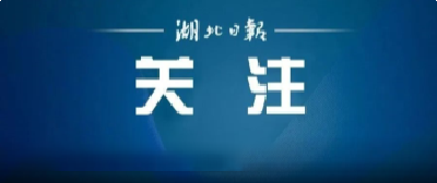 全省通报表扬！