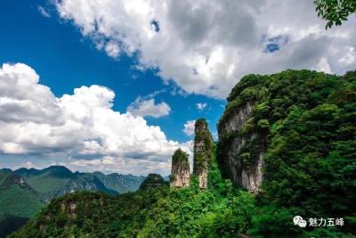 免票，半价！五峰这些景区有优惠