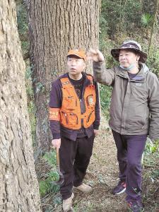 “火眼金睛”看护4.4万亩山林——记全国最美生态护林员、五峰县水浕寺村护林组组长陈刚
