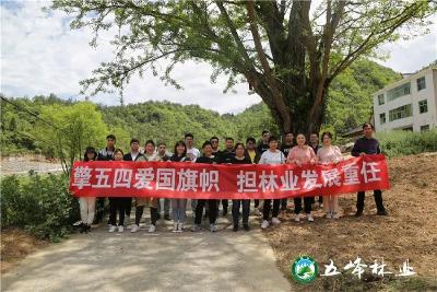 五峰林业：昂扬青春力量 接力林业发展