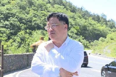 陈华到仁和坪镇调研乡村振兴及产业发展工作