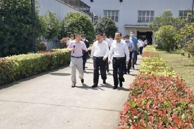 陈华、万红率团到武汉、鄂州考察学习区域发展及招商引资工作