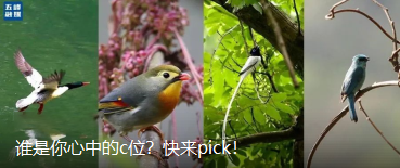 谁是你心中的c位？快来pick！