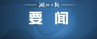 只争朝夕更大力度推进农业产业化成势见效！应勇主持召开这个重要联席会议强调这些重点