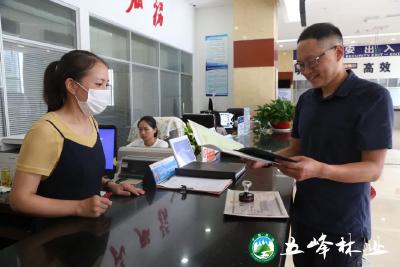 五峰林业：办证更快捷 企业笑开颜