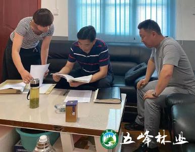五峰林业：安全生产大检查 隐患排查促稳定