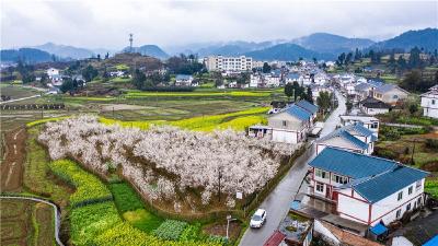 梦想照进现实——中国小康是怎样的故事？