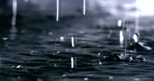 每日天气预报