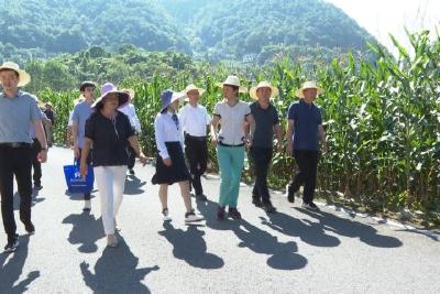 解决用水问题 助力乡村振兴  县政协开展“协商在一线·委员就在身边”活动