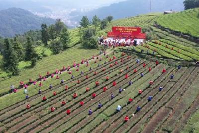 传承百年信仰 激发奋进力量  我县举办“宜心向党——茶乡五峰颂党恩”百姓宣讲活动