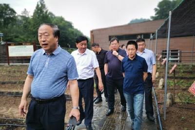 湖北省茶旅文产融合课题调研组到五峰调研