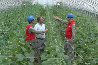 电力部门当保姆 及时高效送服务