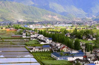 到2025年，脱贫地区特色产业——实现“从有到优”转变