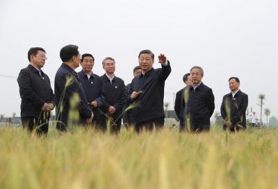 察夏粮、看秋粮，总书记今年考察中为何两次实地察看粮食长势