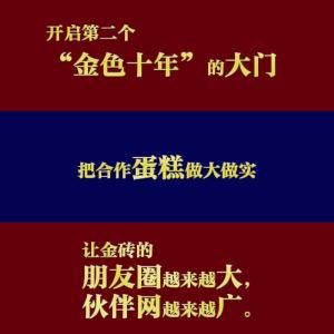 习近平金句妙喻“金砖”