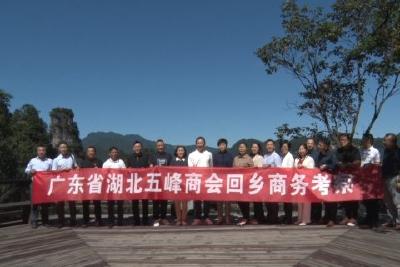 广东省湖北五峰商会回乡考察