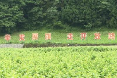 县纪委监委：强化项目监督检查 确保群众增收致富