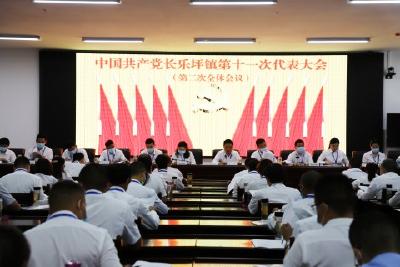 我县各乡镇相继召开中国共产党党员代表大会