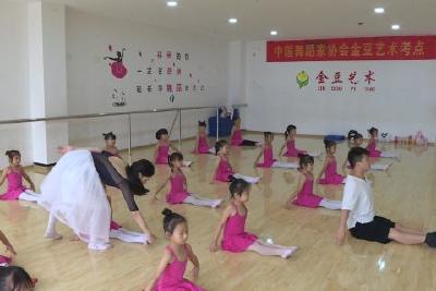 爱心机构为医护人员子女免费提供艺术培训