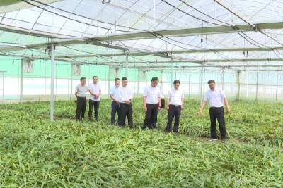 湖北蜂之宝、湖北卓昊、宜都益康园来我县调研蜂产业发展情况
