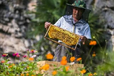 我县绿色脱贫生物多样性保护案例入选COP15国际论坛“中国馆”