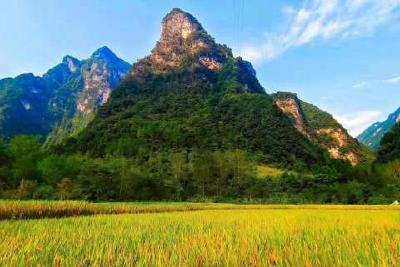 湖北自然保护区监管能力建设培训班在五峰后河开班