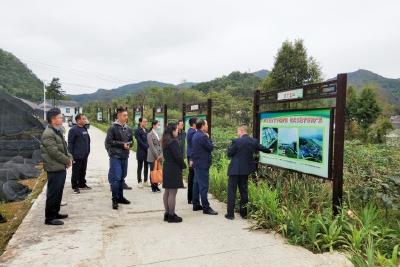 湖北美术学院到我县调研产业发展相关工作