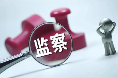 严格执行监察法实施条例 加强规范化法治化正规化建设