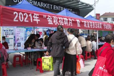 “就”在金秋 “职”等你来  我县举办2021年“金秋招聘月”暨“就业帮扶活动周”专场招聘会