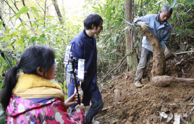 五峰：电商进乡村 土货出深山