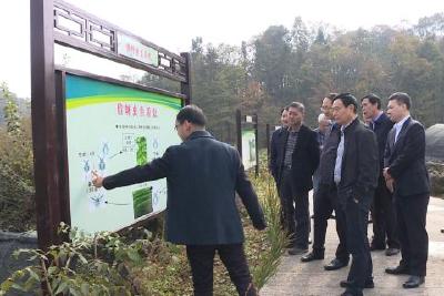 生态环境部华南督察局来我县调研生态环境保护工作  强调要深化督察整改成果 将生态优势高水平转化为发展优势