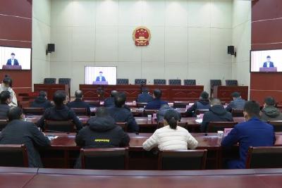 全省召开迎峰度冬能源保供暨能源领域安全生产电视电话会