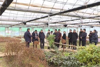 驻我县市七届人大代表开展集中视察
