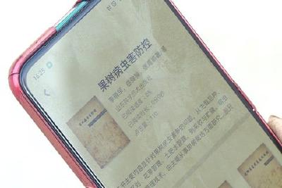 渔洋关镇：数字书屋“不打烊”“云端”书香浸农家