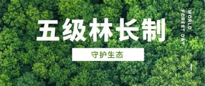 上了《新闻联播》的“林长制”是什么？明白卡来了