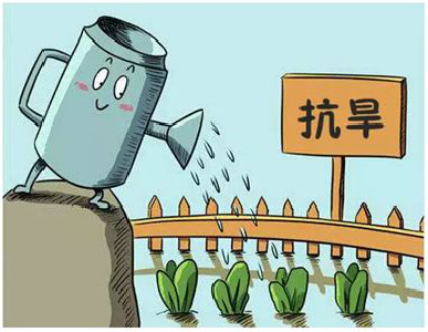 抗旱小知识来了！